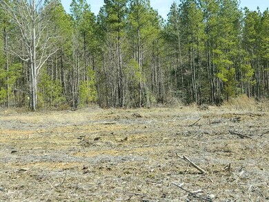 Lot 2 N Carolina 902, Pittsboro, NC 27312 - photo 2