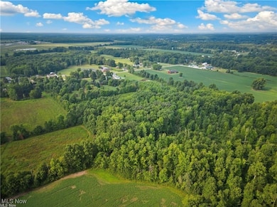 V/L Capel Rd, Grafton, OH 44044 - photo 6