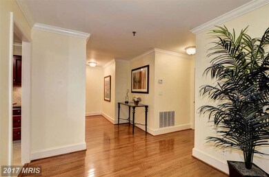 8101 Connecticut Ave unit N104, Chevy Chase, MD 20815 - photo 7