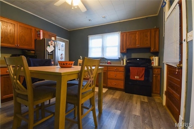 619 E Main St, Staunton, IL 62088 - photo 2