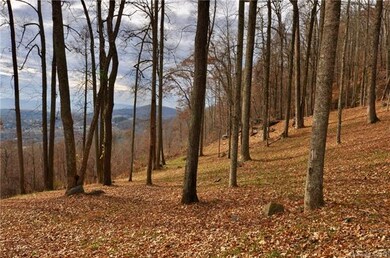 49 Split Rock Tr unit 4, Avery Creek, NC 28704 - photo 3