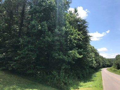 0 Chamberlain Rd unit 1301774, La Fayette, GA 30728 - photo 4