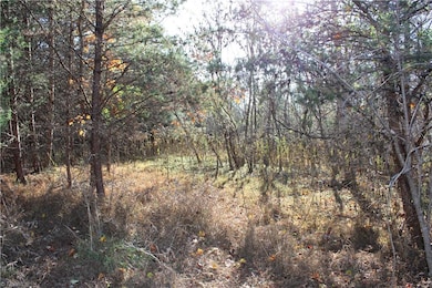 00 Ralph Joyce Rd, Sandy Ridge, NC 27046 - photo 6