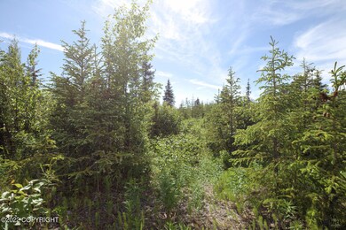 D19 Alaskan Wildwood Ranch, Anchor Point, AK 99556 - photo 4