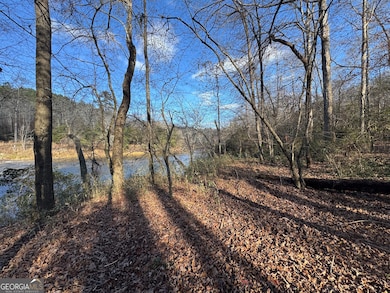 1190 James Adams Rd, Danielsville, GA 30633 - photo 4