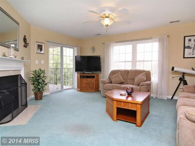 6500 Ridenour Way E unit 3D, Sykesville, MD 21784 - photo 2