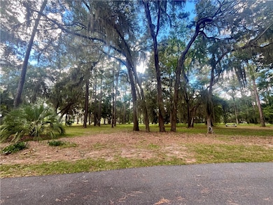 Lot 12, Phase 4 Sutherland Bluff Dr NE, Townsend, GA 31331 - photo 4