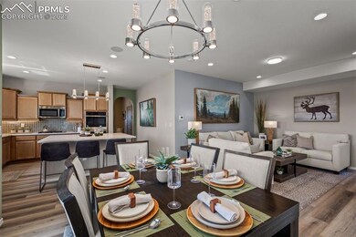 9389 Mayflower Gulch Way, Colorado Springs, CO 80938 - photo 6