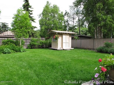 Garden Shed