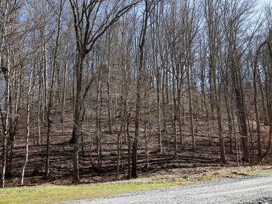 0 Cody View Way unit 9920339, Sevierville, TN 37876 - photo 2