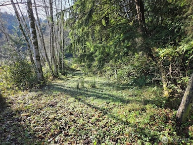 0 NKA Kendrick and Wier St, South Bend, WA 98586 - photo 3