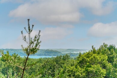 0 Herkelrath Rd unit 21100482, Onekama, MI 49675 - photo 2