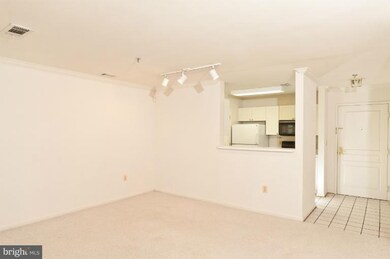 5573 Seminary Rd unit 408, Baileys Crossroads, VA 22041 - photo 7