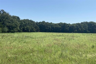 TBD5 County Rd 141, Callisburg, TX 76240 - photo 2