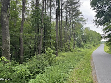 L20.4 Stevenson Rd, Cambridge, NY 12816 - photo 7