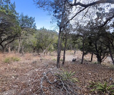View of local wilderness