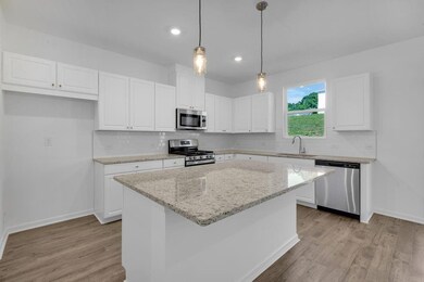 REPRESENTATIVE PHOTO