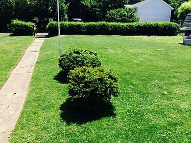 Yard/Garden.