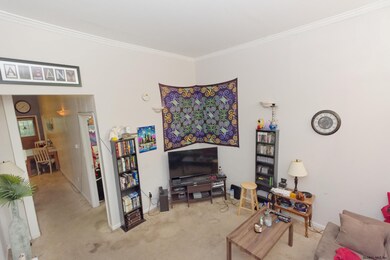 146 Dove St, Albany, NY 12202 - photo 7