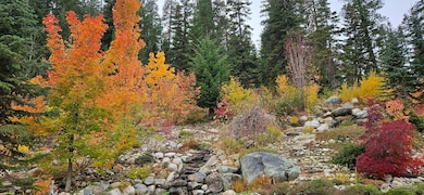 11411 Shugart Flats Rd, Leavenworth, WA 98826 - photo 7