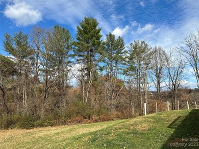 27 Old Chapman Place, Leicester, NC 28748 - photo 2