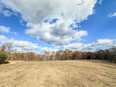 0 Firetower Rd unit 1, Centerville, TN 37033 - photo 5