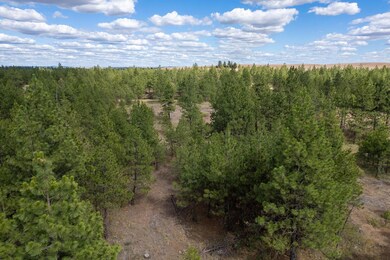 35430 Prairie Ln N unit Lot 3, Creston, WA 99117 - photo 4