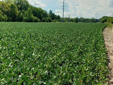 0 Little Walnut Rd, Ashville, OH 43103 - photo 5