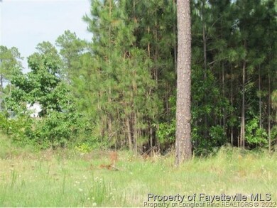 37 Farm Wood, Sanford, NC 27332 - photo 6