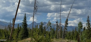 TBD Gcr 471 #2, Grand Lake, CO 80447 - photo 3