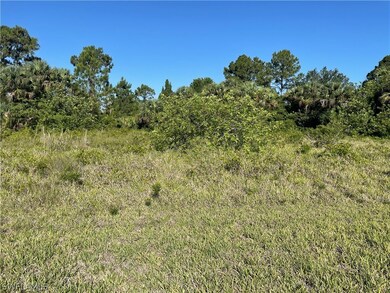 712 Roma Ave S, Lehigh Acres, FL 33974 - photo 3