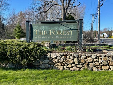 The Forest