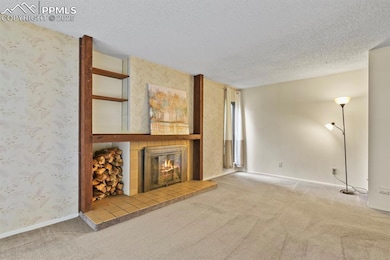 Unfurnished living room featuring carpet, a textur