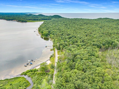 Aerial both lakes and woods
