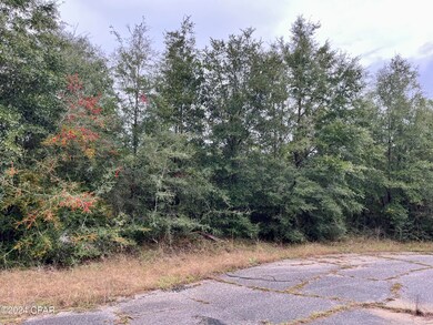 Lot 21 Vicki Ct, Chipley, FL 32428 - photo 5