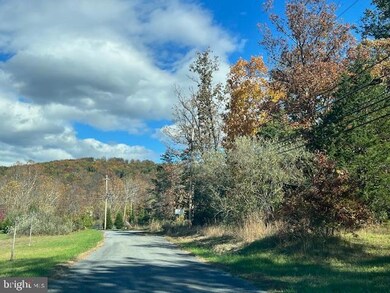 852 Cedar Grove Rd, Winchester, VA 22603 - photo 4