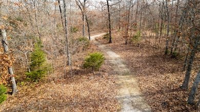 DJI_0837