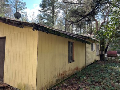 3115 Rockydale Rd, Cave Junction, OR 97523 - photo 5