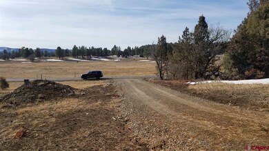 Looking down driveway south