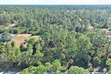 1405 W 14th St, Lehigh Acres, FL 33972 - photo 3