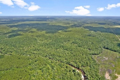 0 Roberson Rd, Hortense, GA 31543 - photo 6