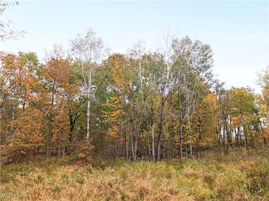 20 Rd, Cortland, OH 44410 - photo 4