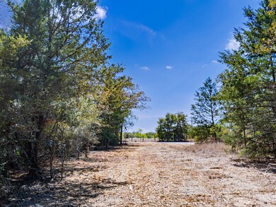 12345, Somerville, TX 77879 - photo 4