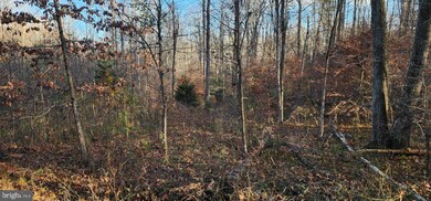 0 Buggy Ln unit VAMA2002548, Uno, VA 22738 - photo 6