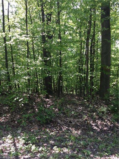Nature Abounds !
