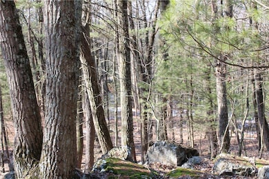 21 Deer Path, East Stroudsburg, PA 18302 - photo 7