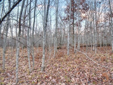 XXXX Aspen Hill Court Ct, Danbury, WI 54830 - photo 4