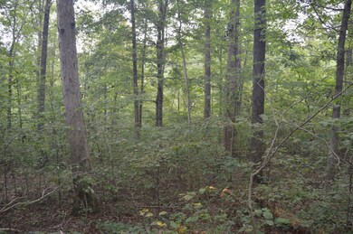 0 Mathis Cemetery Rd unit 2187275, Stewart, TN 37175 - photo 7