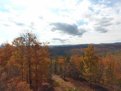 000 Derricks Dr unit 5, Wheelock, VT 05851 - photo 3