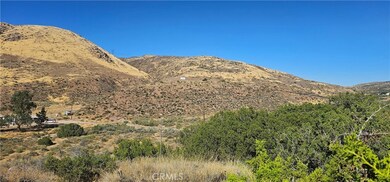0 Soledad Pass Rd unit SR23191729, Acton, CA 93510 - photo 4